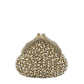 Luxury Metal Clutch -915
