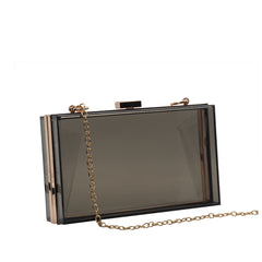 Transparent Acrylic Clutch - 506