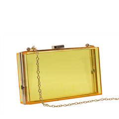 Transparent Acrylic Clutch - 506